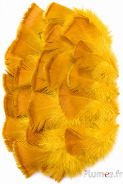 Dindon bronze blanchi - 5-15 cm - jaune-caramel